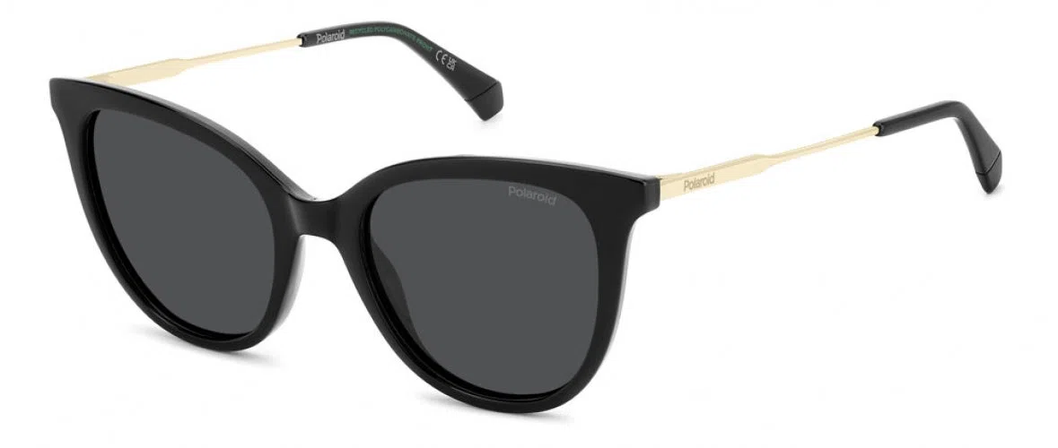Polaroid Core PLD4184 Sunglasses - view 6